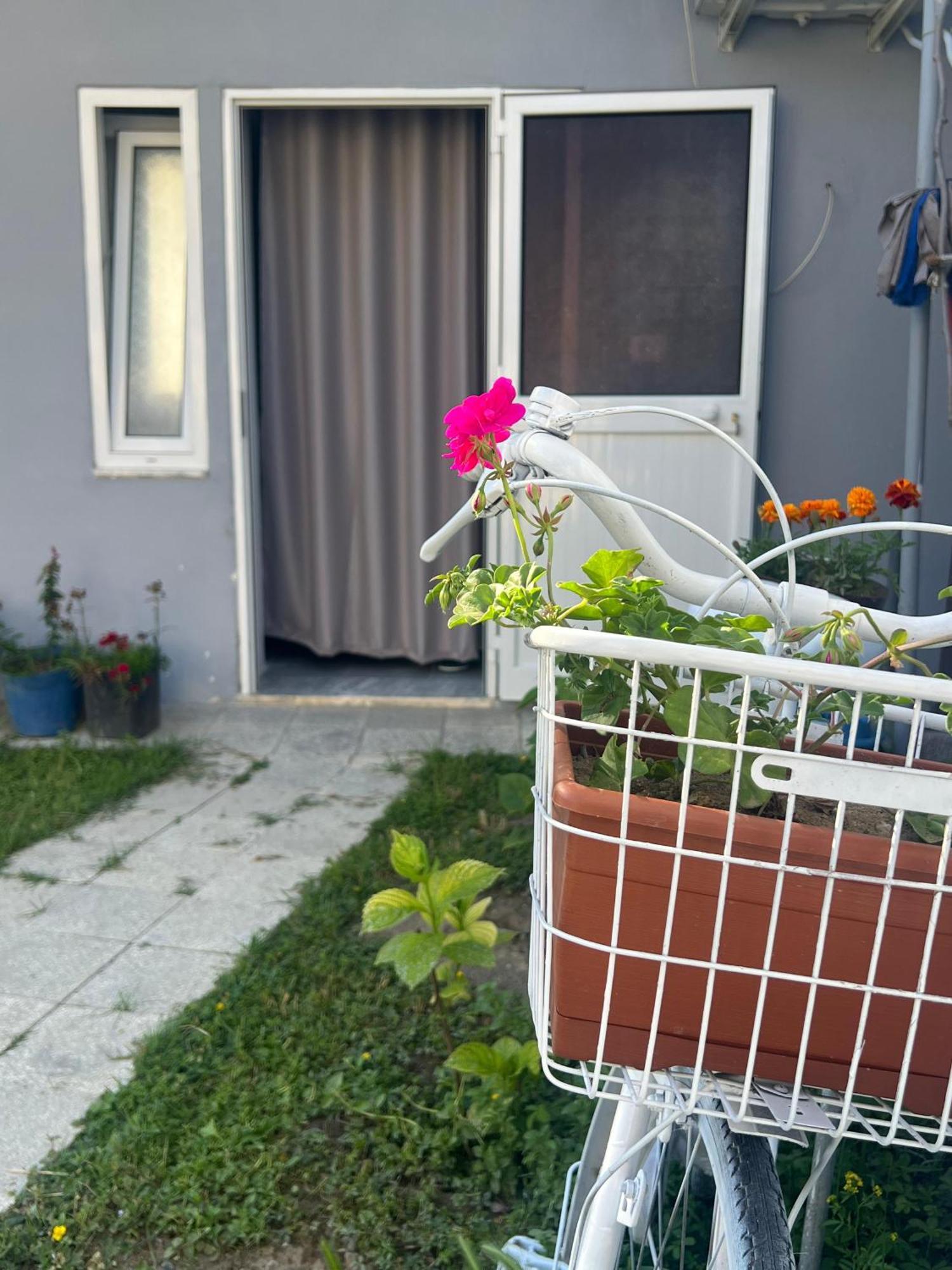 Happy Corner Guest House Shkodër Esterno foto